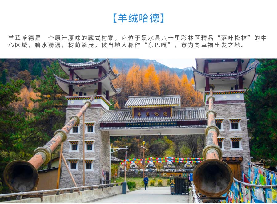 达古冰山二日游_10 达古冰山二日游_10