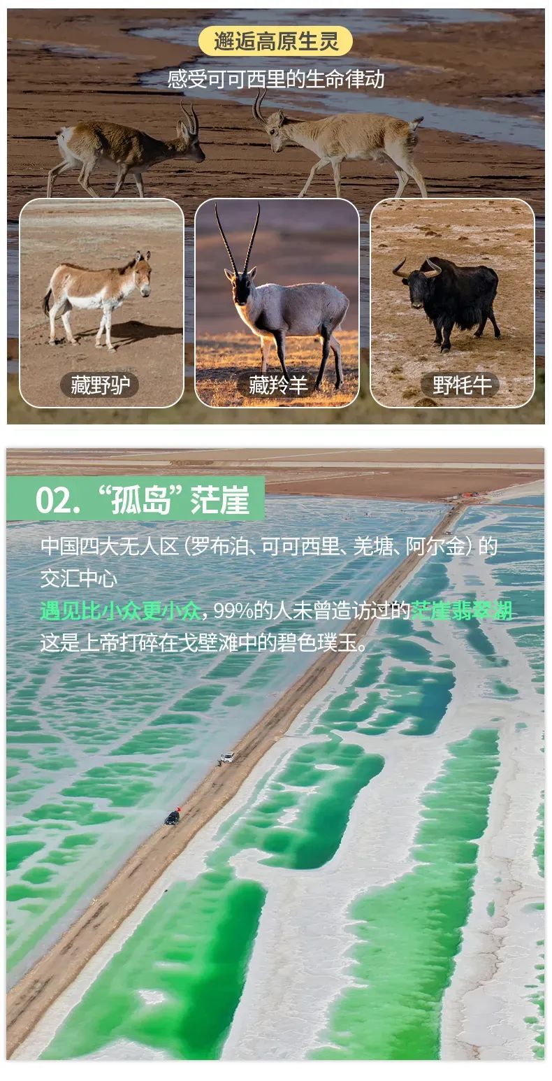 遇见可可西里详情页9 遇见可可西里详情页9