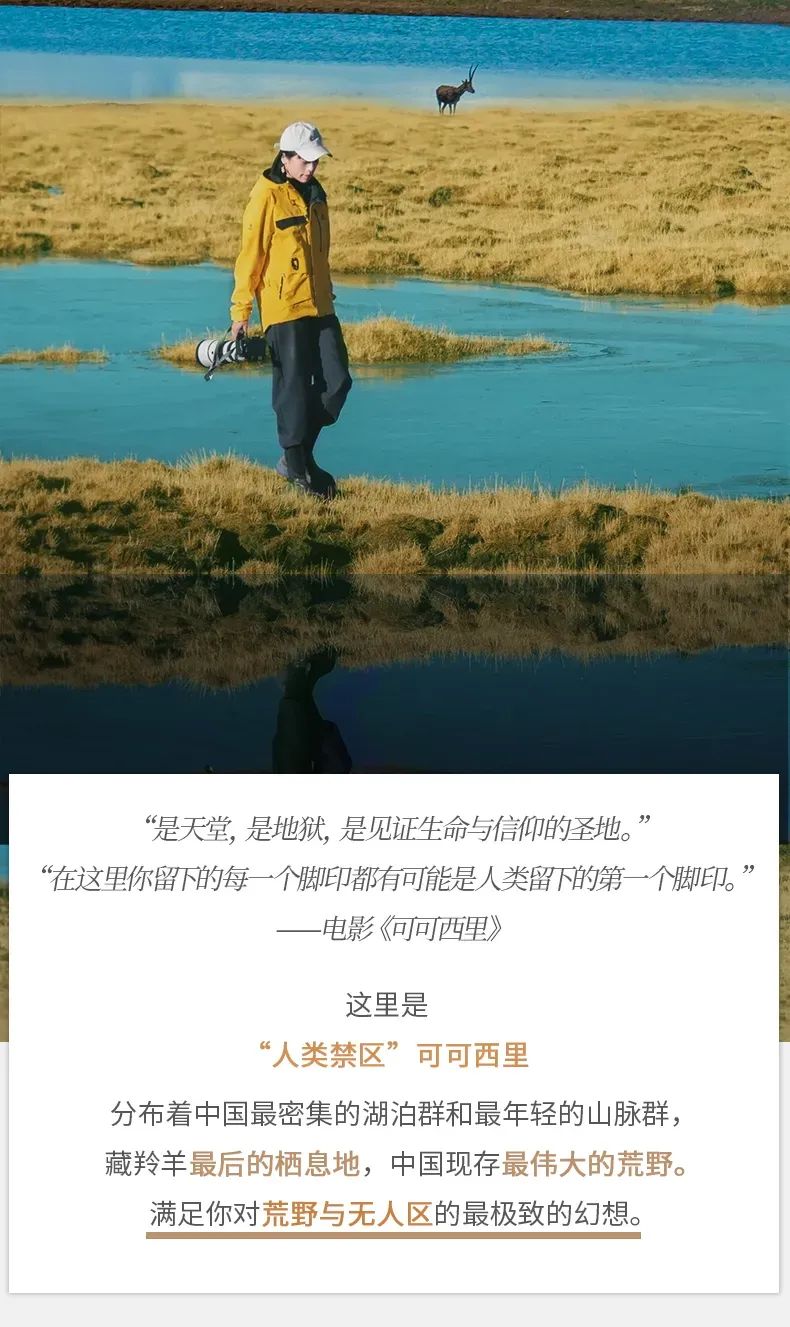 遇见可可西里详情页2 遇见可可西里详情页2
