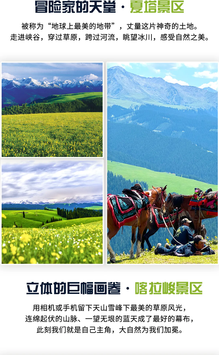 醉美伊犁6 醉美伊犁6