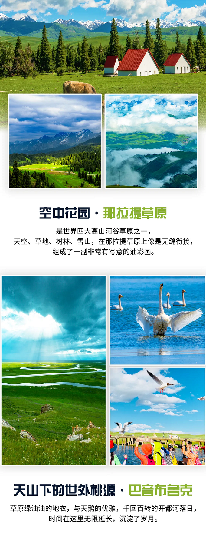 醉美伊犁7 醉美伊犁7