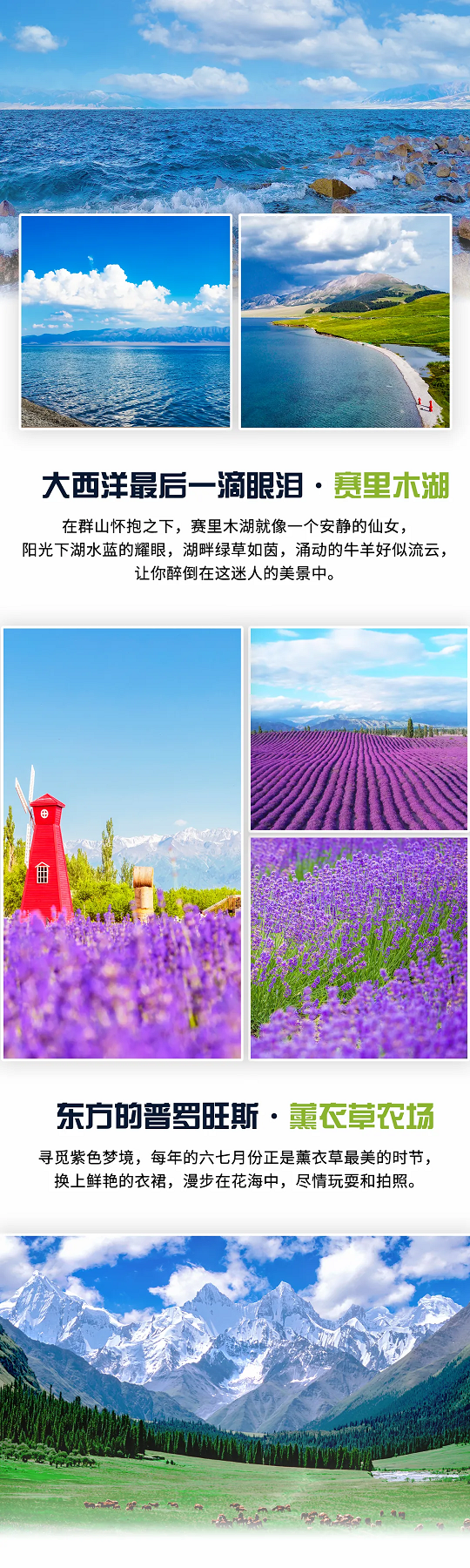 醉美伊犁5 醉美伊犁5