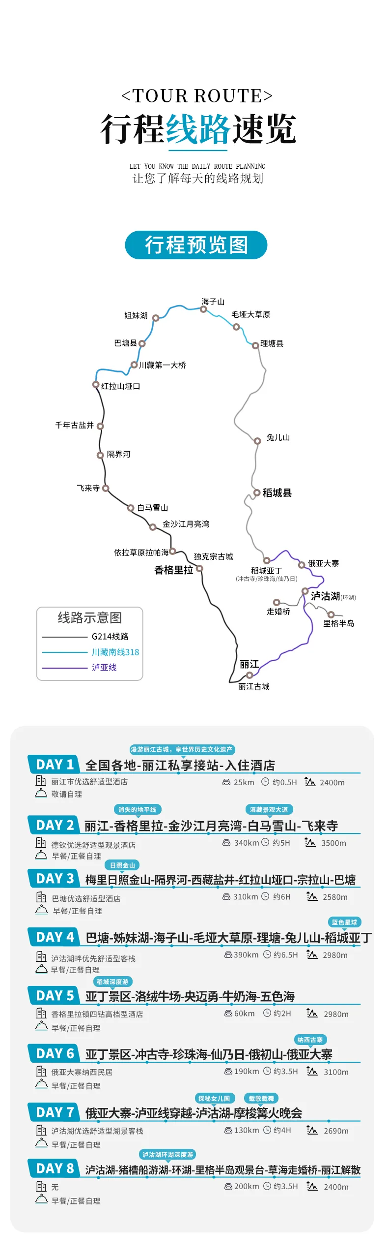 大洛克3 大洛克3