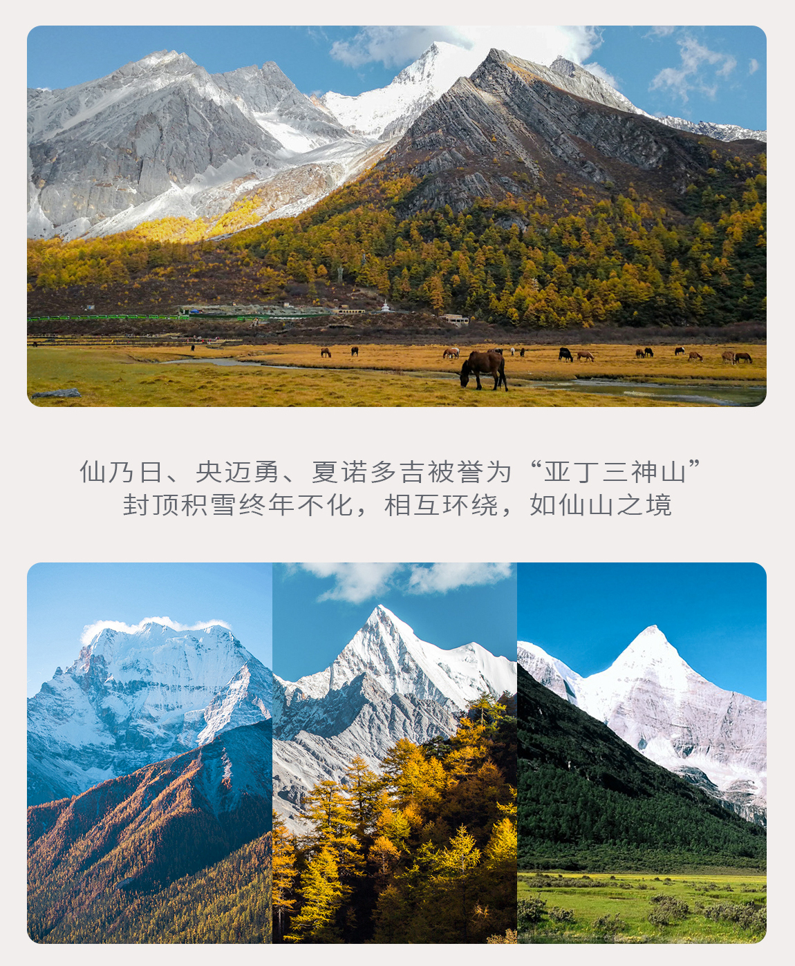 稻城亚丁+色达7日游2222_08 稻城亚丁+色达7日游2222_08